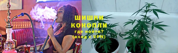 индика Алзамай