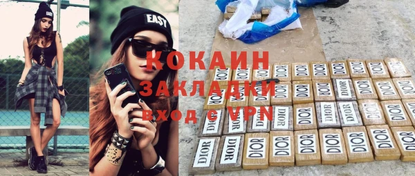 индика Алзамай