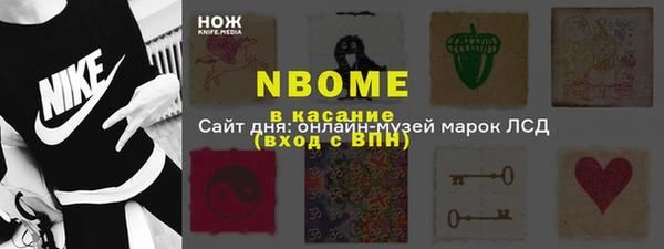 индика Алзамай