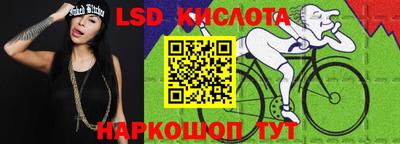 индика Новодвинск