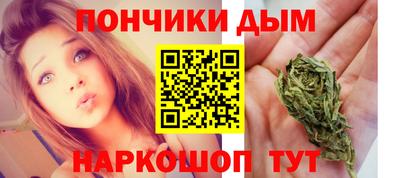 индика Новодвинск