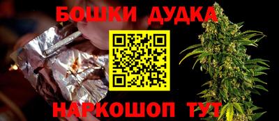 индика Новодвинск